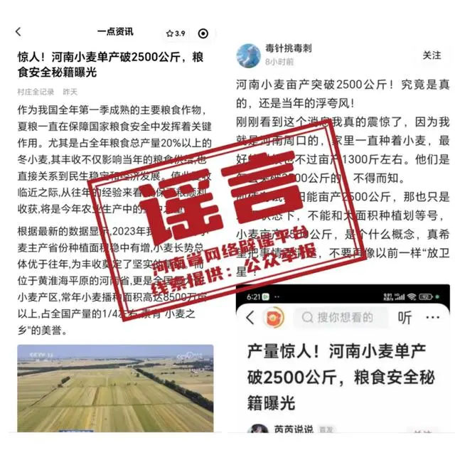 河南小麥單產破2500公斤為不實信息